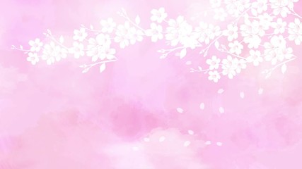 ピンク色の和紙を背景にした桜 Wall Mural Wallpaper Murals Imagefuji ピンク色の和紙を背景にした桜 Wall Mural Wallpaper Murals Imagefuji