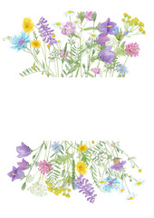 Watercolor hand drawn floral summer frame with copy space and wild meadow flowers (clover, bluebell, cornflower, tansy, chamomile, cow vetch, dandelion etc.) and grass isolated on white background