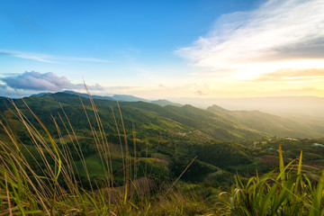 Fototapeta premium The scenery of the Doi Pha Tang with a beautiful golden grass foreground in Chiang Rai, Thailand.