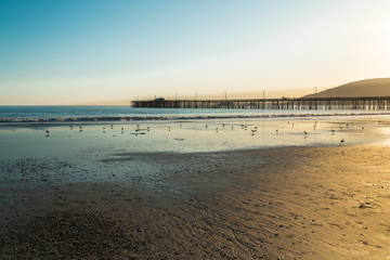 Avila Beach pier and flock of birds at sunset. Beautiful Ceantral Coast of California