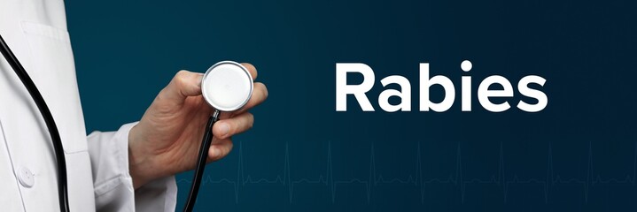 Rabies. Arzt im Kittel hält Stethoskop. Das Wort Diabetes steht daneben. Symbol für Krankheit/Gesundheit