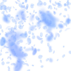 Dark blue flower petals falling down. Noteworthy r