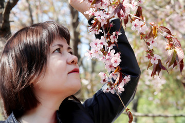 Young woman enjoys the smell of sakura flowers. Cherry blossom in spring garden, romantic portrait of sensual girl inspired by nature, concept of happiness and romance