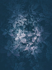 Abstract colors leaf and flowers in dark scene wallpaper backgrounds