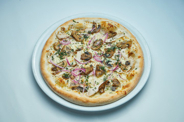 Appetizing baked Italian pizza with cream sauce, onions and mushrooms on a white plate isolated on gray background