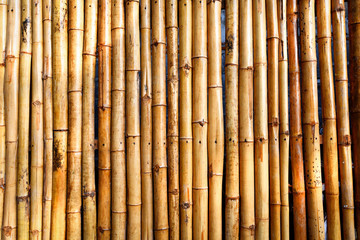 Naklejka premium Fence bamboo texture - bamboo background