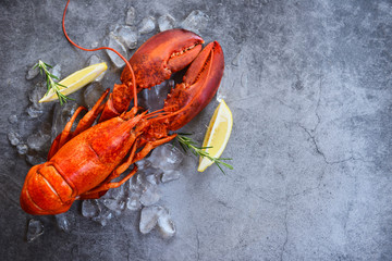 Fresh lobster food on a black plate background - red lobster dinner seafood with herb spices lemon...