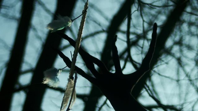 Long fingers of evil spirit reach for dreamcatcher hanging from tree