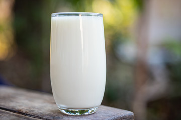 Glass of milk in drinking concept.