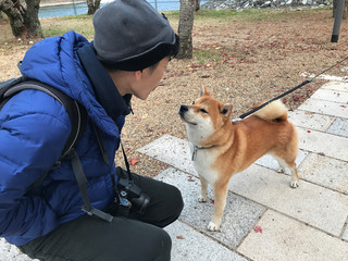 A man is greeting a chiba dog in Uji, Japan.