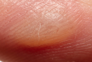 Corn on the finger as a background