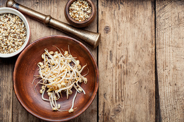 Mung beans on wooden table