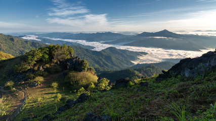 View of sea of mist at Doi Pha Tang in the morning in Chiang Rai, Thailand.