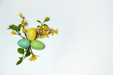 Easter composition. The pattern consists of forsythia branches with yellow flowers and multicolored...