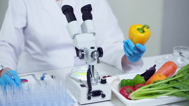 食品と科学