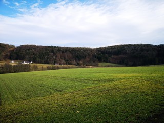 Acker im Winter