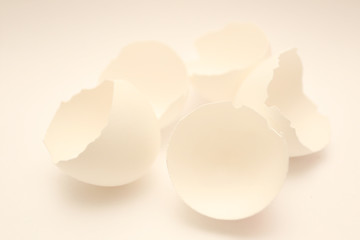 egg shell