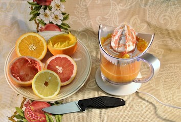 Fresh organic ripe fruits orange grapefruit lemon natural gourmet product brown plate folding knife juicer red white background