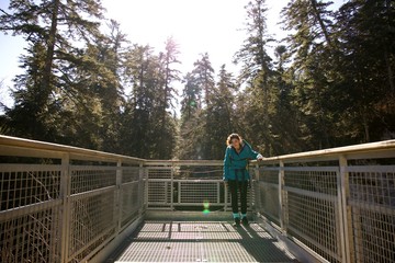 Forêt 