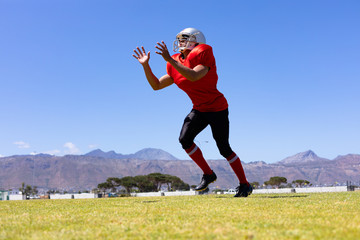 Fototapeta premium Football player playing football
