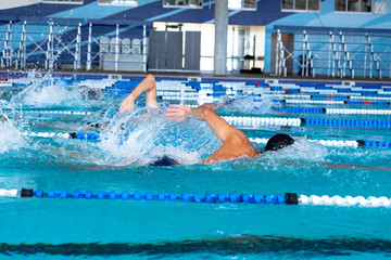 Swimmers swimming in the pool