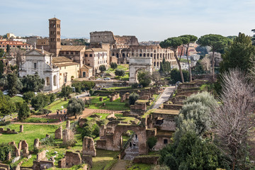 Fototapeta premium Rom Forum Romanum