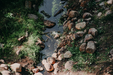 A small creek overgrown with mud and green grass on top