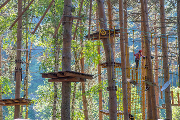 Rope park in the forest.