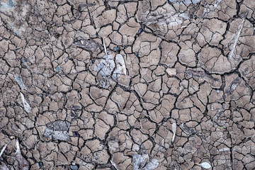 Dried soil texture background. Cracked soil surface.