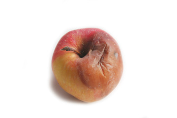 Badly rotten apple isolated on white background. Rotten fruit on white