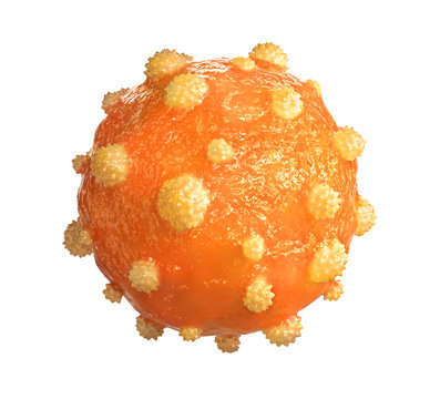 Hepatitis B virus on a white background. 3d illustration