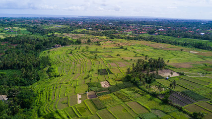 Fototapeta na wymiar Aerial view of rice terraces. Landscape with drone. Agricultural landscape from the air. Rice terraces in the summer. UNESCO World Heritage - Jatiluwih rise terrace, Bali, Indonesia. Travel - image