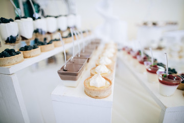 Sweet food. Wedding candy bar, cookies on a plate on dessert table