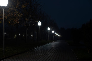 Night alley in park illuminated with street lamps.Grunge background. Cold season. Evening illuminated park.
