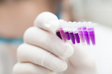 Fototapeta na wymiar PCR Strip test tube in the laboratory