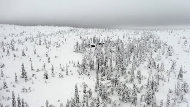 Aerial: Small Cabins In The Middle Of Frozen Wilderness In Finnish Lapland - Flying Over Snowy Trees In Frozen Forest