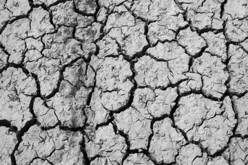 dry cracked earth