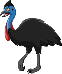 A Cute cartoon cassowary smile