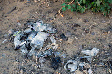 Environment pollution problem concept. Nature care. Littering garbage. Ecology concept. Environment pollution, waste problem, rubbish, trash.