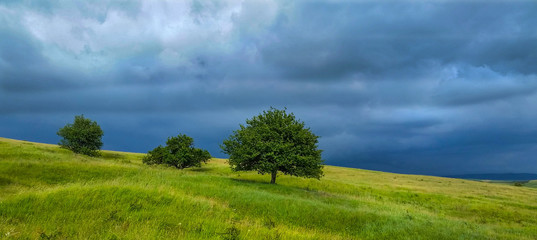 Alone on the field during the storm