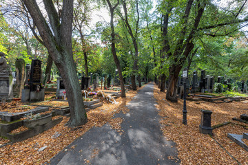 Summertime at the Olsany Cemetery in Prague