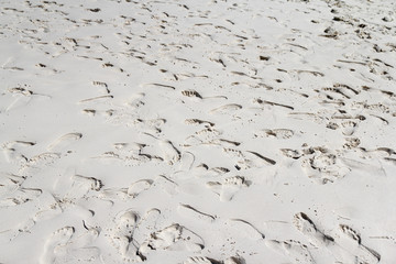 Sea beach sand with many of foot print background