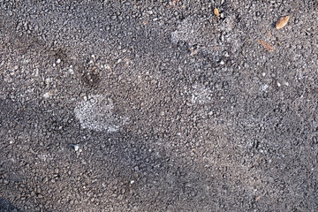 De-icing chemicals on the asphalt pavement. Pavement is sprinkled with technical salt or salt mixtures based on it.