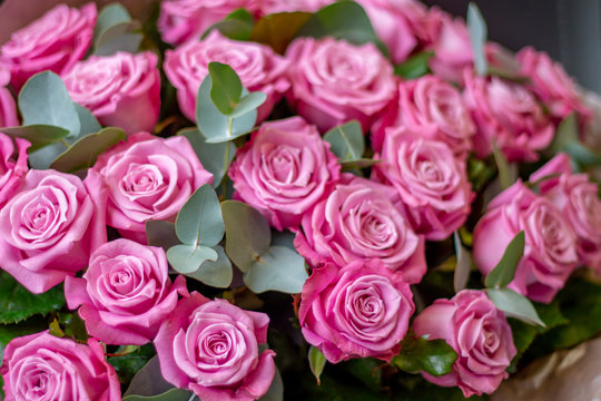 image of a bouquet of fresh pink roses close-up