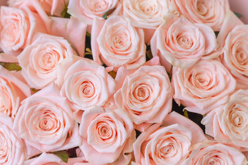 Fototapeta na wymiar image of a bouquet of fresh pink roses close-up