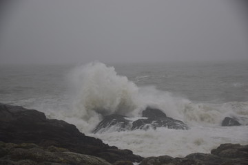 Fototapeta premium Tempête sur la côte bretonne