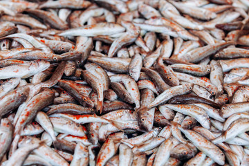 Fototapeta premium Fresh anchovy fish. Seafood european pile of anchovy fish. Black sea anchovies placed in the family Engraulidae. Lots of anchovies for sale