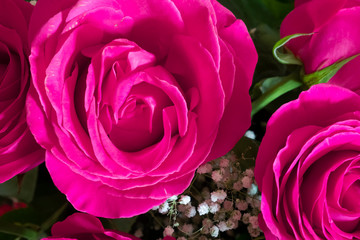 Pink roses bouquet background. Natural roses background. Valentines day background. Valentines day celebration concept. Romantic concept.