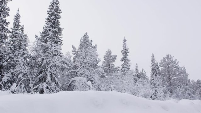 winter in scandinavia
