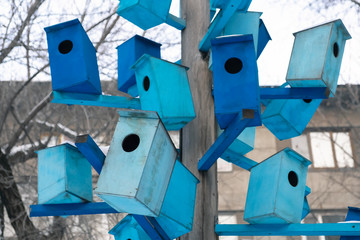 Many bright colored birdhouses on a tree at city. Closeup photo of birdhouses. Bird hotel.